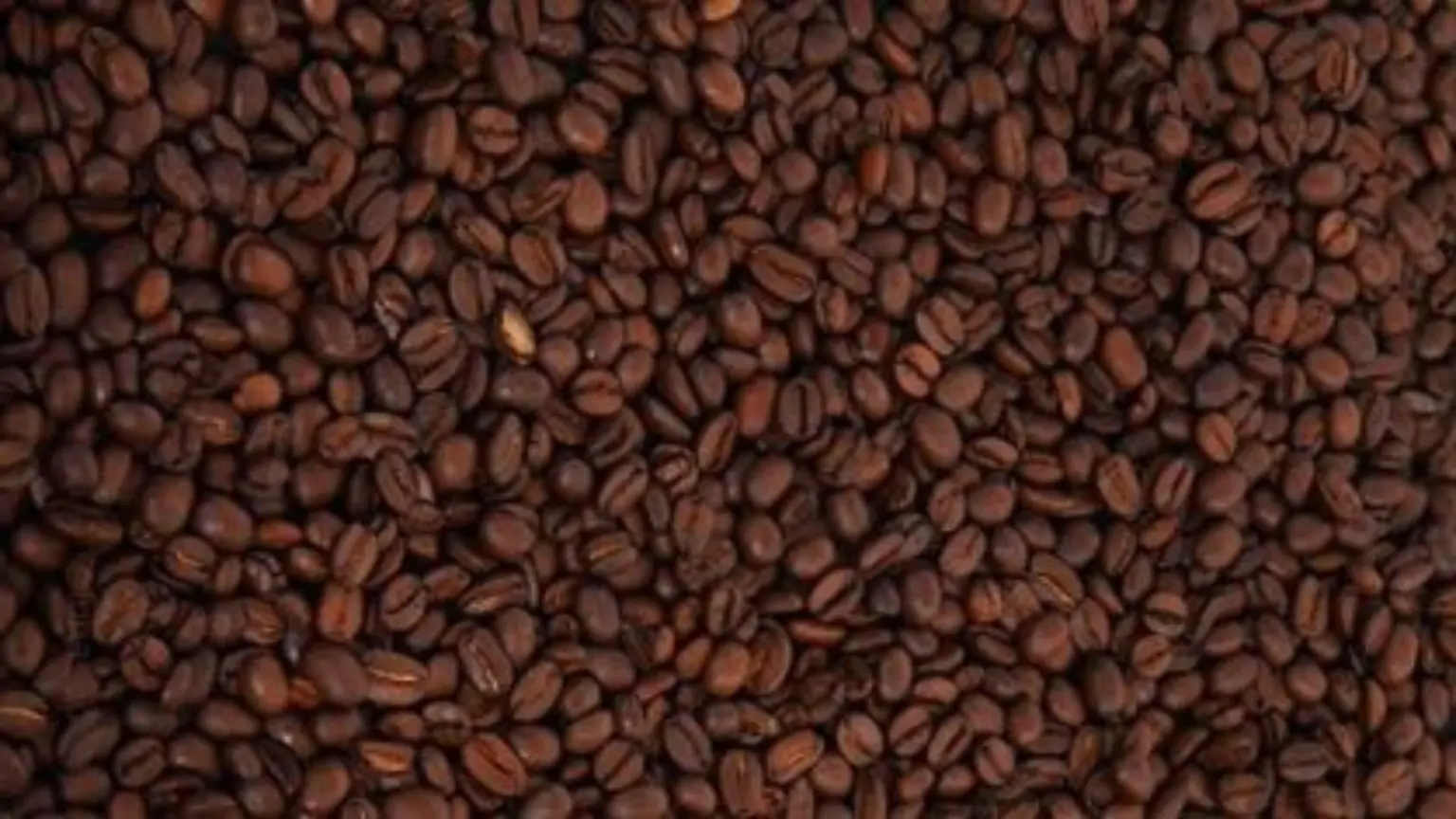 Mengoptimalkan Mesin Roasting untuk Meningkatkan Profitabilitas Bisnis Kopi Anda