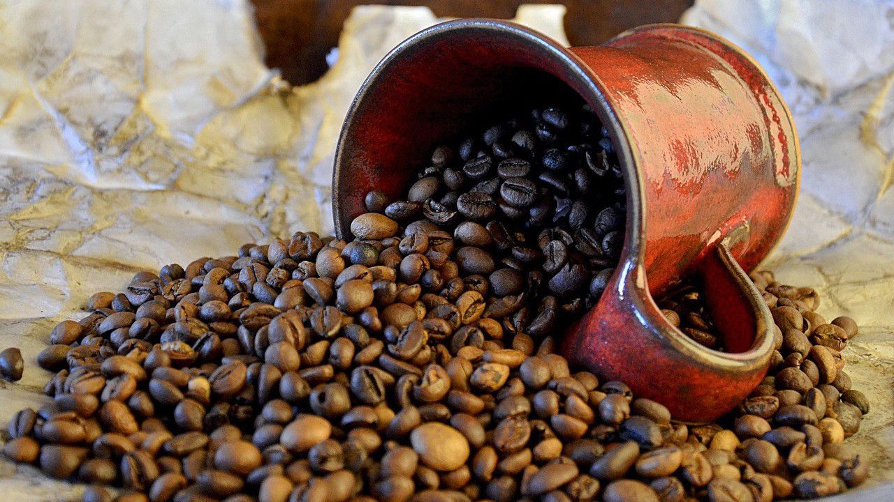 Menguak Rahasia Cita Rasa Kopi Sempurna dengan Mesin Roasting Kopi Industri – Teknologi Panas yang Mengubah Biji Menjadi Emas Hitam