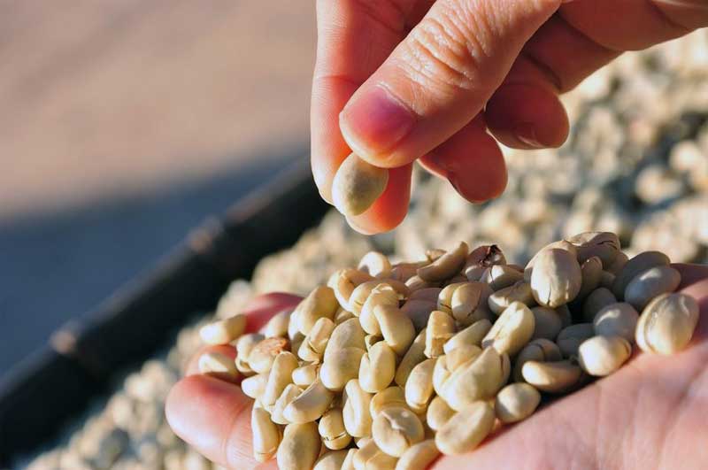 Mesin Roasting Kopi – Solusi Modern untuk Produksi Kopi Berkualitas Tinggi