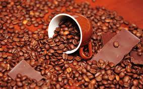 Mesin Roasting Kopi: Teknologi Penentu Karakter Rasa dan Nilai Jual Kopi