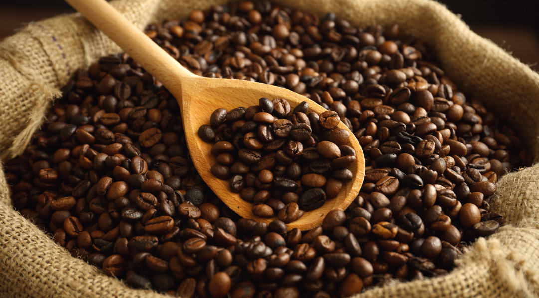 MESIN ROASTING KOPI PROFESIONAL UNTUK PRODUKSI MODERN