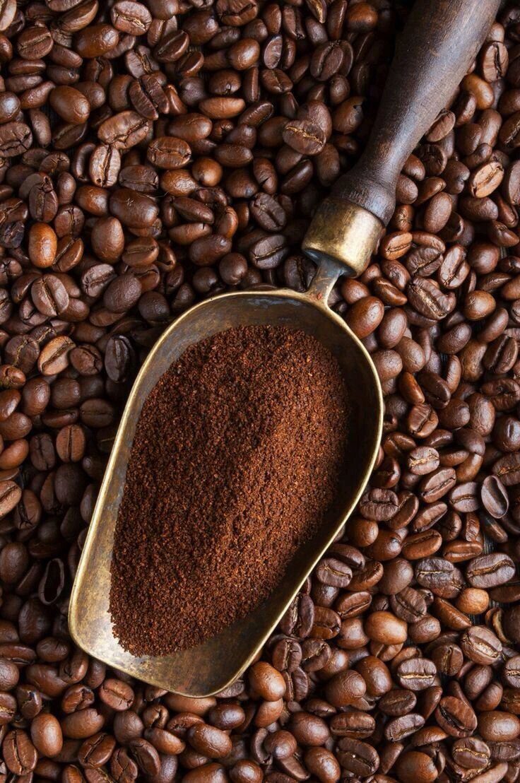 Memilih Mesin Roasting Kopi yang Tepat untuk Mendukung Perkembangan Usaha