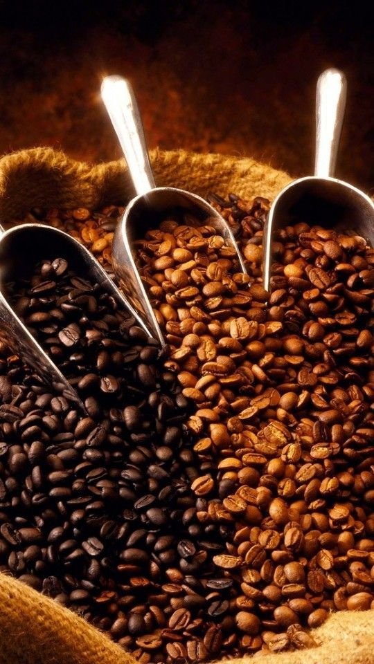 Rahasia Mendapatkan Hasil Sangrai Kopi yang Konsisten untuk Usaha Coffee Roastery